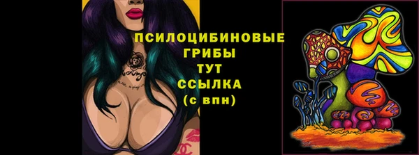 ГАЛЛЮЦИНОГЕННЫЕ ГРИБЫ Балахна