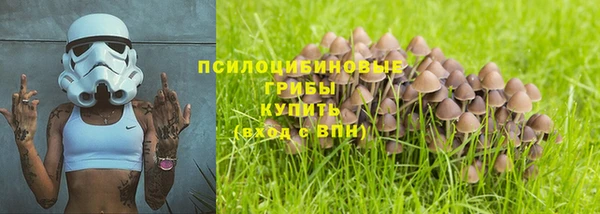 ГАЛЛЮЦИНОГЕННЫЕ ГРИБЫ Балахна