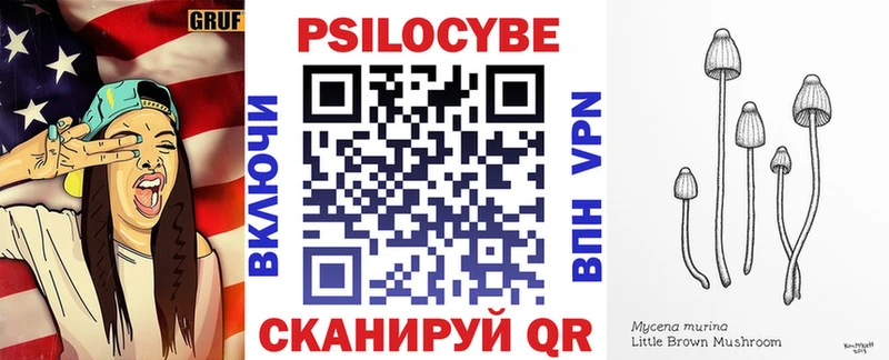 что такое наркотик  Городище  Псилоцибиновые грибы прущие грибы 
